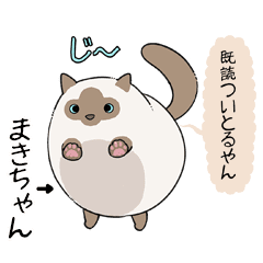 おならで喋るねこ まきちゃん Line スタンプ Line Store おならで喋るねこ まきちゃん Line スタンプ Line Store