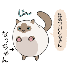 おならで喋るねこ なっちゃん Line スタンプ Line Store