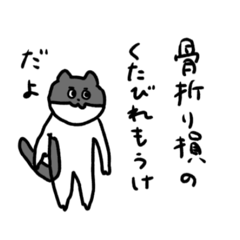 everyday very pretty cats