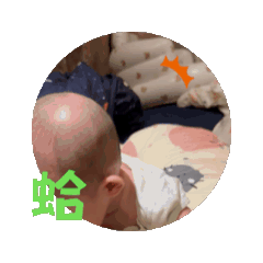 圓寶動動