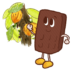 cacao kun