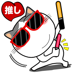 ハチワレ猫★推し活