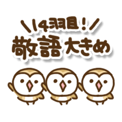 Mamefuku of barn owl14