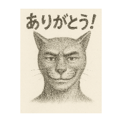 Deadpan Cat Reactions