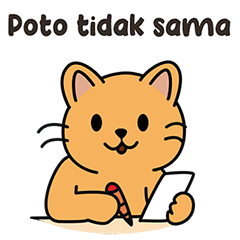 Fredy: kucing