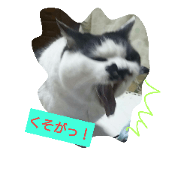 haru-2
