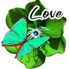 butterfly and flower