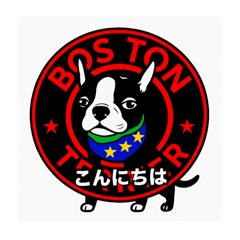 波士顿梗的日常