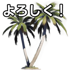 [For Talking] Palm Tree