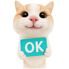 Orange Cat Super Cute ! [TW]