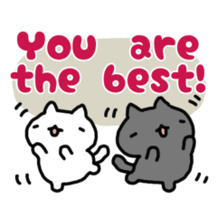 Inform! lovely cats (English)