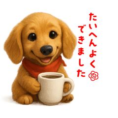 わんダフルはっぴー【ダックスの日常２】