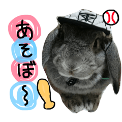 rabbit.stamp