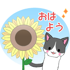 Ruki-cat18