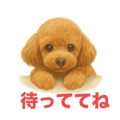 Ringo_20250706171007