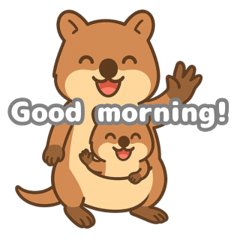 Quokka Talk - Cute & Friendly Stickers