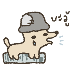 หมา ธรรมดา