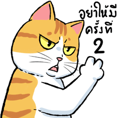 ส้มเช้งแมวส้มตัวแสบ