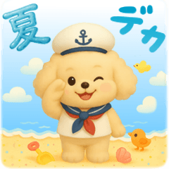 Summer Daily Life/Toy Poodle