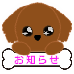 PTA、委員会、打合せの連絡トイプードル版