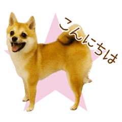 MUGI's Sticker@ringonohoppe