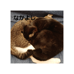 Chloe_20250705221609