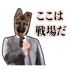 kinako_20250706185902