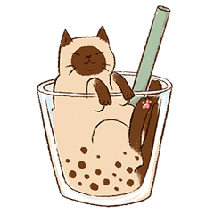 珍珠奶茶貓