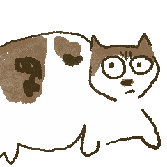 不懷好心眼的貓