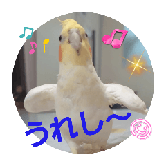 みんなと一緒 33