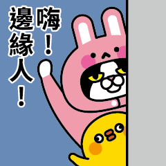 頭套貓的日常