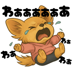 Chihuahua-chan's daily life "Bancha"