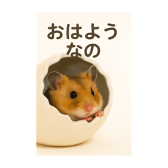 akaNe_20250707105055