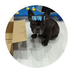 美樂蒂日記1（諧音篇）