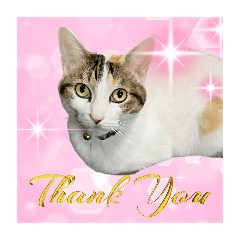 charm_20250707220318