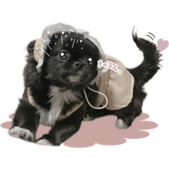 yunomama_20250708074827