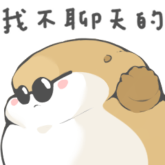 肥嫩水獺–墨鏡酷朵的一天