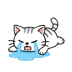 A normal cat sticker Indonesian ver.