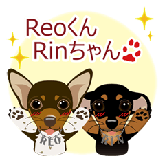 mamepin321*pinscher_Reo&Rin.ver