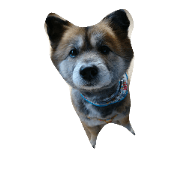rikita