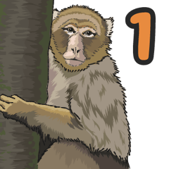 Gather up! Monkeys!1