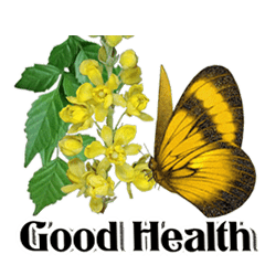 butterfly and flower2