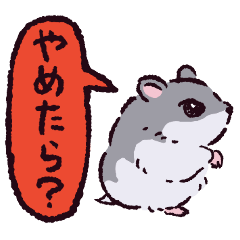 Djungarian hamster!?