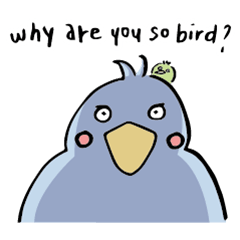 why are you so bird ?