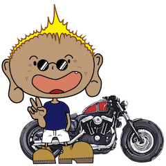 Cruise Motorcycle SPOSTA