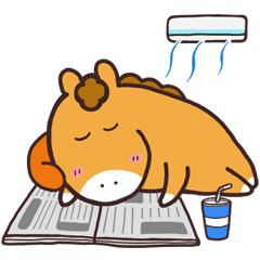 シンガリくんの夏