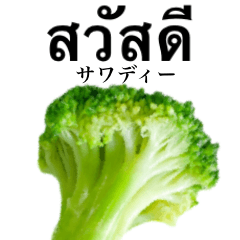 みずみずしいブロッコリー 【タイ語】
