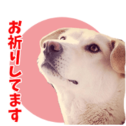 UCHINO MEICHAN Sticker