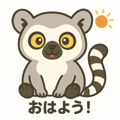 Ring-tailed Lemur Life