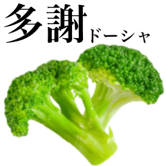 新鮮　花椰菜　4